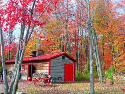 galerie-membre,canada-quebec,canada-cabane-a-sucre.jpg