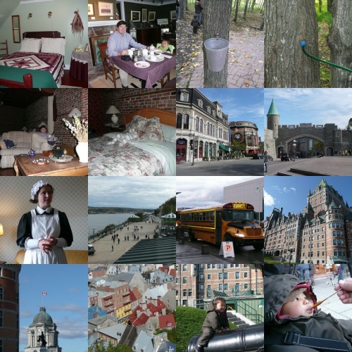 collage1.jpg