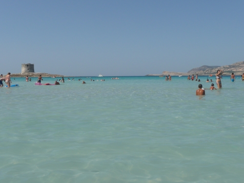 P1110270.JPG