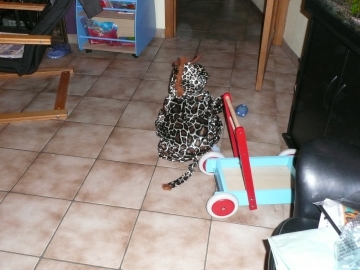 bb840988f0ecebbf8b02c60d79bd8422.jpg